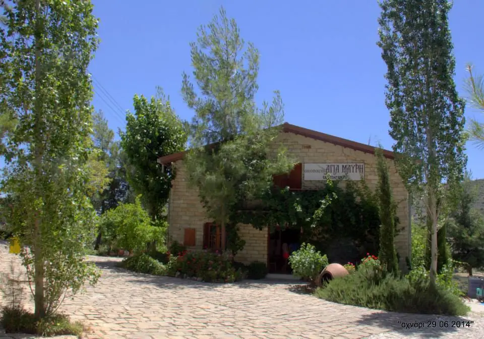 Ayia Mavri Winery