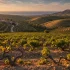 Cyprus Wine Regions: Your Complete Guide to the Island's Ancient Vineyards