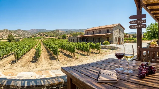 Cyprus Wineries FAQ