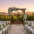 Cyprus Winery Wedding Venues: Complete Guide & Cost Calculator