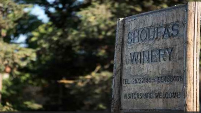 Shoufas Winery