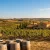 Wine Tourism in Cyprus