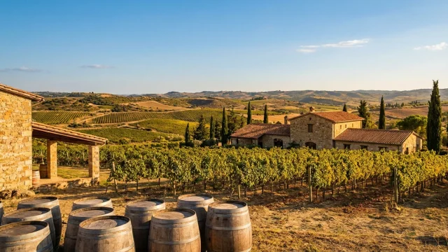 Wine Tourism in Cyprus