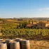 Wine Tourism in Cyprus