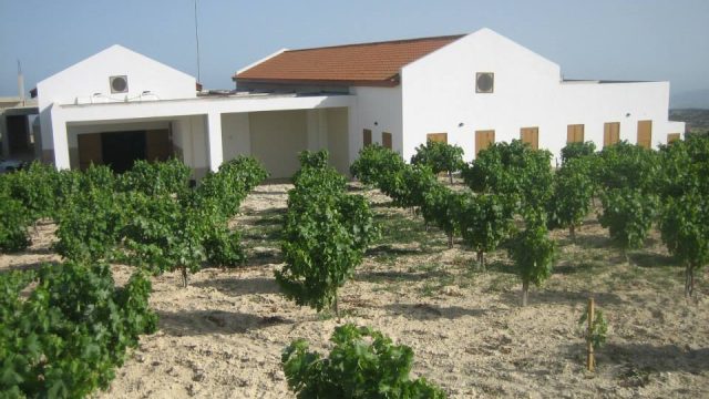 Yiaskouris Winery
